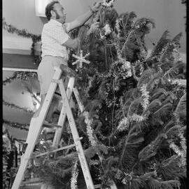 Public Christmas tree 