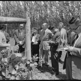 Kiwifruit research tour