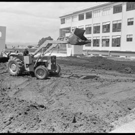 Hospital roof garden