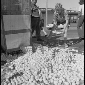 Truckload of eggs fall onto road