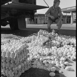 Truckload of eggs fall onto road