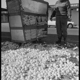Truckload of eggs fall onto road