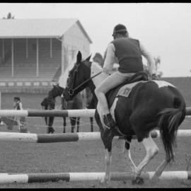 Pony Clubs Rider Championship