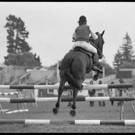 Pony Clubs Rider Championship