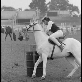 Pony Clubs Rider Championship