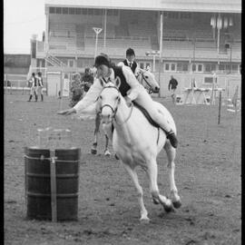 Pony Clubs Rider Championship