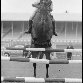 Pony Clubs Rider Championship