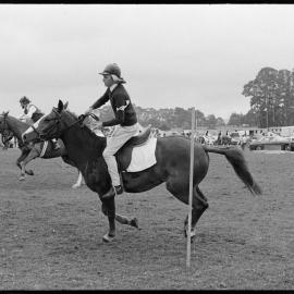 Pony Clubs Rider Championship