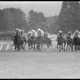 Racing Club's Summer Handicap