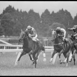 Racing Club's Summer Handicap