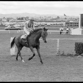 Racing, New Year Handicap