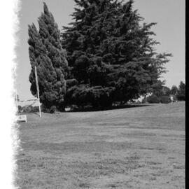 Mount Maunganui golf