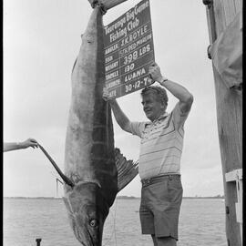 Record striped marlin catch