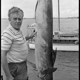 Record striped marlin catch