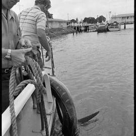 Record striped marlin catch