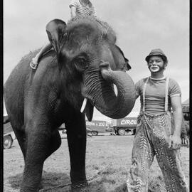 Ridgeway Circus elephant