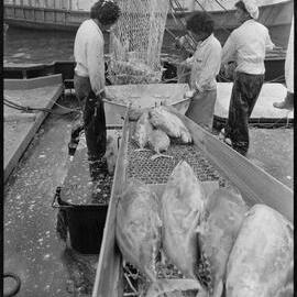 Sandfords fishing vessel