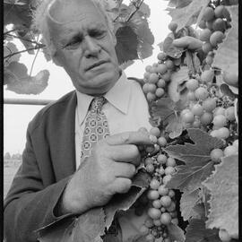 Winemaker E. Bragg