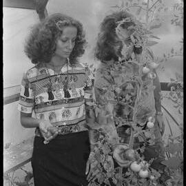 Nelson Bell, electric fly trap inventor