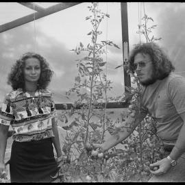 Nelson Bell, electric fly trap inventor