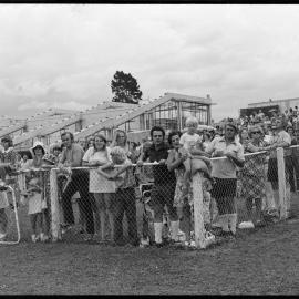 Tauranga race course spectators