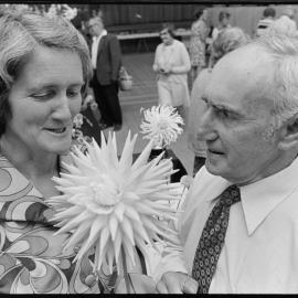 Dahlia show, Te Puke