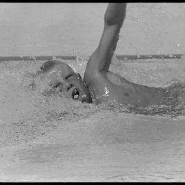 BOP Swimming championships