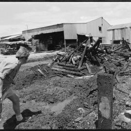 Puke Pine sawmill blaze