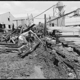 Puke Pine sawmill blaze