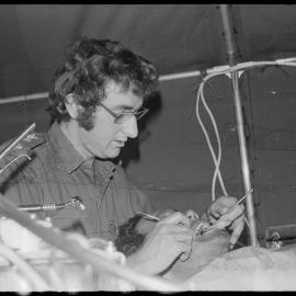 Territorials, dental work