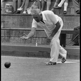 Lawn bowls tournament players