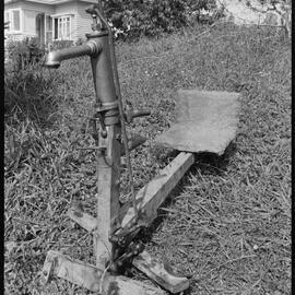 Early milking device