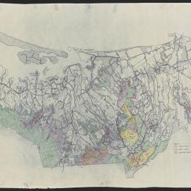 Forestry Plan for Western Bay of Plenty Area