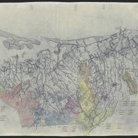 Forestry Plan for Western Bay of Plenty Area