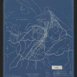 Proposed Development - Port of Tauranga