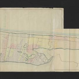 Forest History Matakana Island