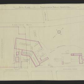 Plan for Tauranga Public Hospital