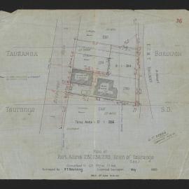Plan of part allots. 237, 238, 239, Town of Tauranga sec. 1