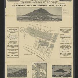 The Mount Estate, Mount Maunganui