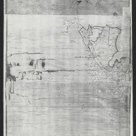 Plan of surveys in the Confiscated Block Tauranga