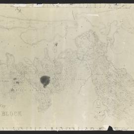 Plan of surveys in the Confiscated Block, Tauranga