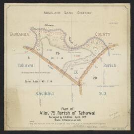 Allot 75, Parish of Tahawai