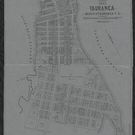 Tauranga - Section no. 2 - Block X Tauranga S.D.