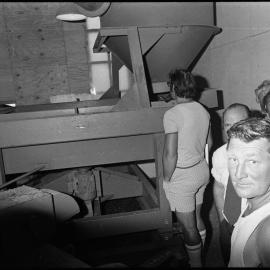 Bunn Bros mill - Matakana Island