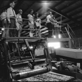 Bunn Bros mill - Matakana Island