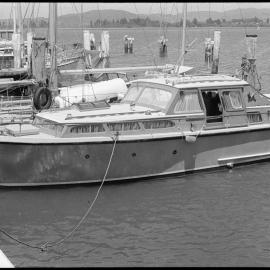 Northern Star - Tauranga