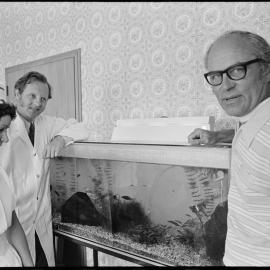 Fish tank  - Tga Hospital