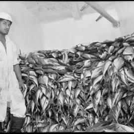 Mr Billy Hoete - Sandfords