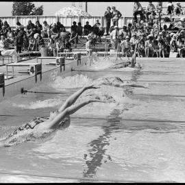 NI swimming champs - Greerton