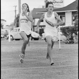 Mt Maunganui harriers